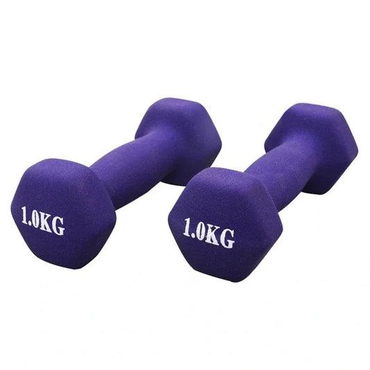 Colorful Hex Dumbbells Set Home Gym Fitness Weight Lifting adjustable Dumbbell